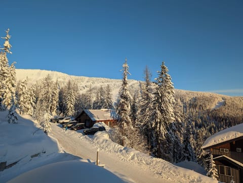 Ski runs from family room window