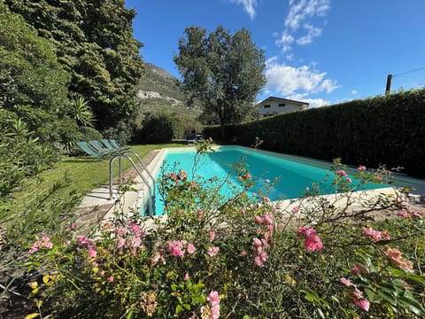 Shrub, Swimming Pool, Garden, Landscaping, Backyard, Yard, Hacienda, Farmhouse, Eco Hotel