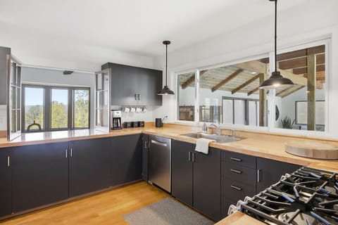 Modern kitchen with pass through window to dining room