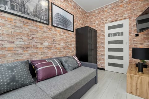The elegant living room with a grey sofa bed.