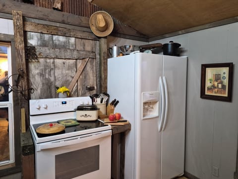 100 year old reclaimed barn door  behind the stove.  