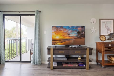 65" Smart TV in the living room