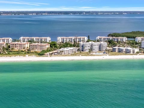Area drone shot with beach