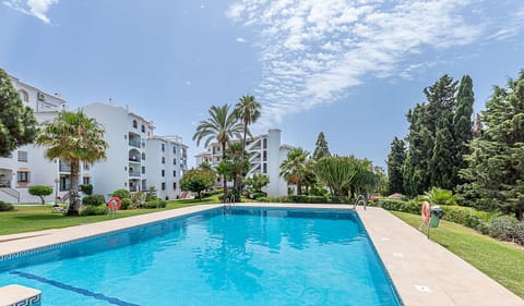 Spacious community swimming pool with decorative mosaic border, set within immaculately maintained gardens. The tranquil setting features mature palm trees, well-kept lawns, and attractive landscaping, all surrounded by the pleasant white apartment buildings of this desirable complex.
