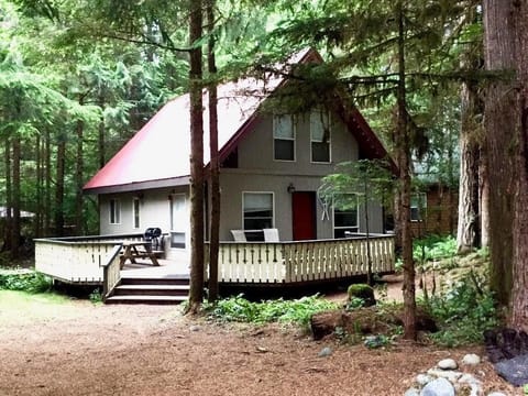 Cozy forest cabin retreat with spacious deck and serene surroundings