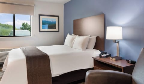 Recharge in a calm, sunlit room with plush bedding.