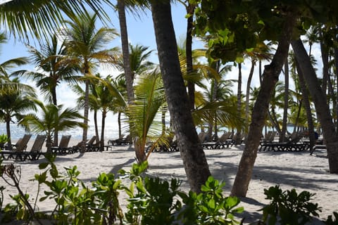 you  walk 4 min  to Bavaro Beach