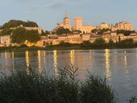 Vue Avignon 01