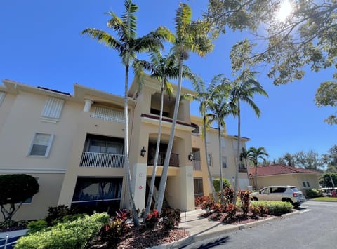 Sunlit exterior with tropical palm trees and lush landscaping