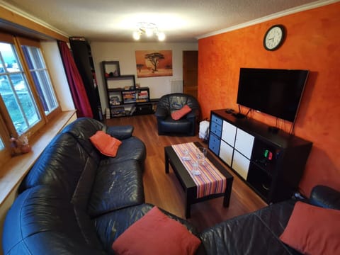 Furniture, Interior Design, Flooring, Couch, Wood, Floor, Room, Living Room, Lighting, Television