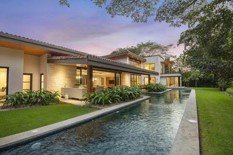 Wild tropical view from the Olympic size pool