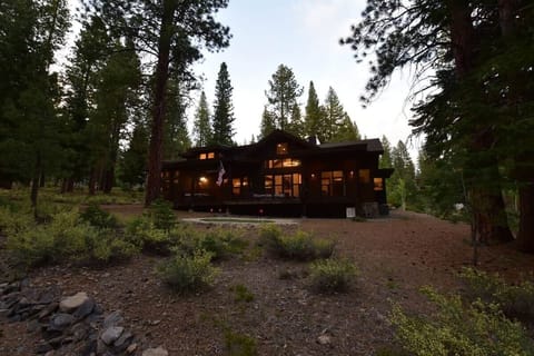 back yard