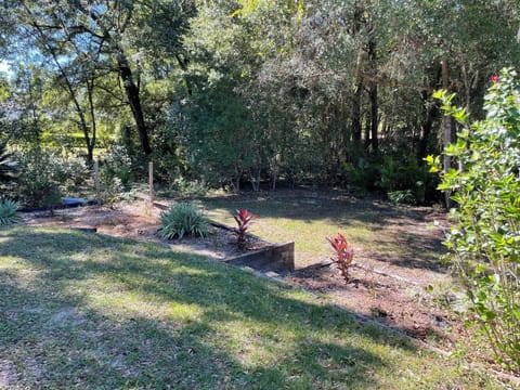 Beautifully landscaped back yard. Unfenced with tall trees.