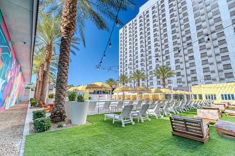 Soak up sunshine on the lawn beside palm-framed loungers.