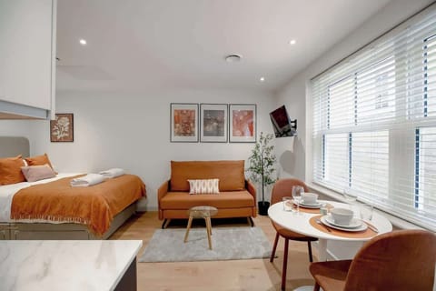 Sofa bed, TV, dining table with chairs, and center table in living area