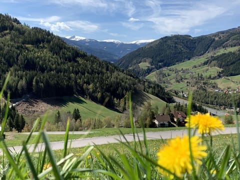 Biohof Laußnitzer - Holiday apartment with two bedrooms Farm Stay in Carinthia, Austria