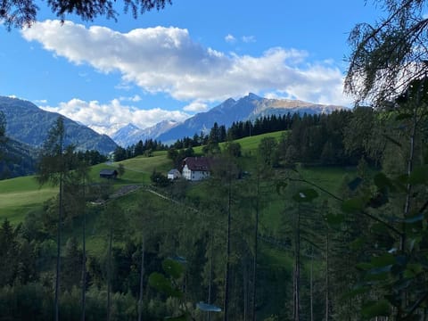 Biohof Laußnitzer - Holiday apartment with two bedrooms Farm Stay in Carinthia, Austria