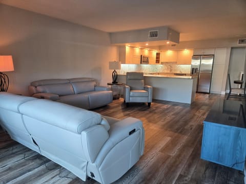 Living room and kitchen