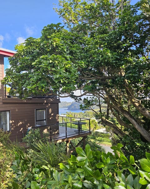 The Tree house as seen from driveway