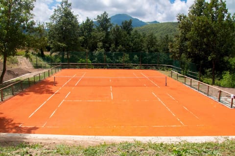 Sport court