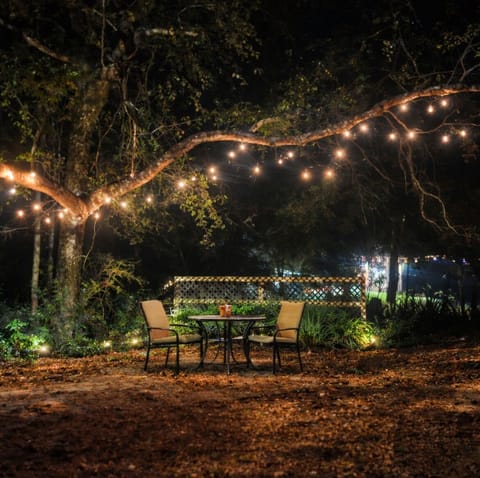 Charming seating beneath trees, with string lights and fire pit!