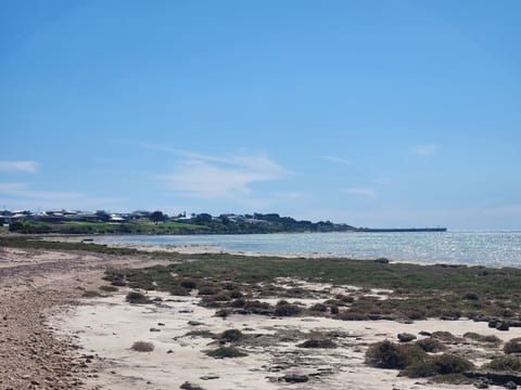 Beachfront 100m from the house
