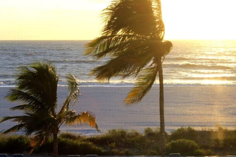 View from Lanai