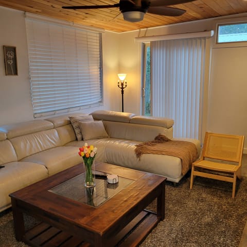 Sun room/living room with gas fireplace.