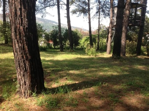 Quiet wooded area just adjacent to the premises, ideal for relaxation, picnics, or reading in the shade.