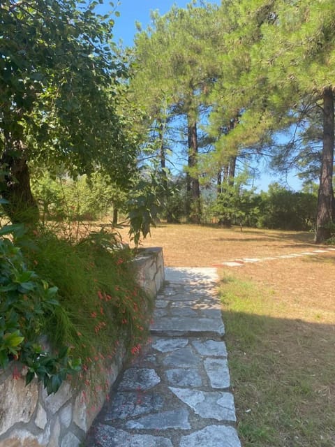 A charming stone walkway — your daily route under the sun.