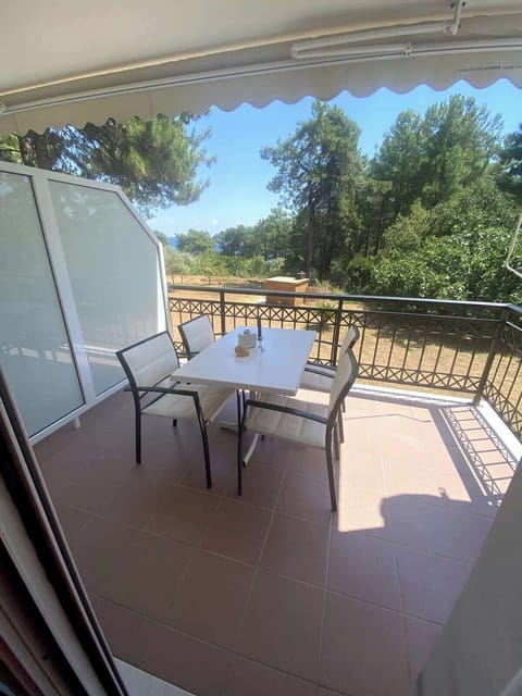 Covered outdoor terrace with a dining set — perfect for al fresco meals surrounded by olive trees