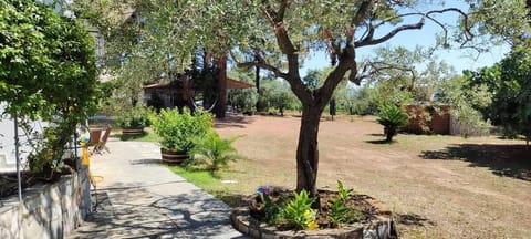 Surrounded by olive and pine trees, this peaceful garden offers space to unwind in true seaside tranquility.