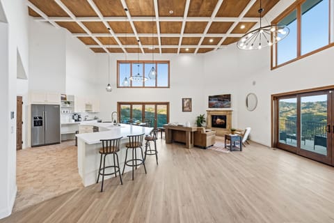 The main expansive, open concept living space.