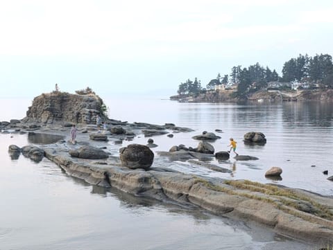 Pacific Shores Corner Escape – Double Queen Suite Apartment in Vancouver Island