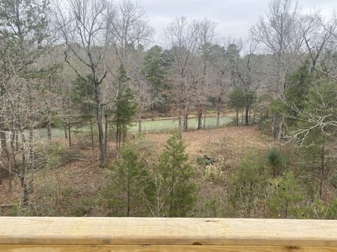 View of Fiddler Creek from deck (December)