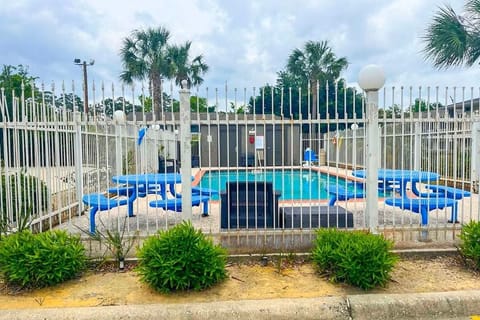 Unwind poolside under palm trees with refreshing afternoon dips.