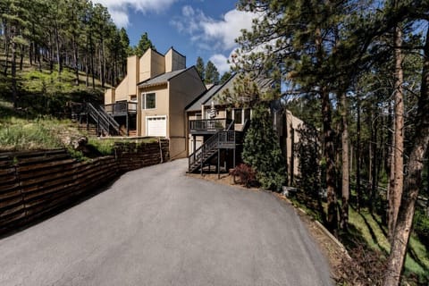 Welcome to Tall Pines!