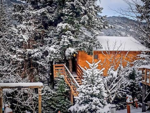 Cozy wooden treehouse surrounded by snow-covered pines.