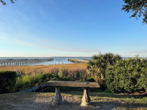 Short walk to the Charleston harbor