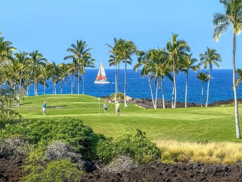 Enjoy sweeping resort views surrounded by lush tropical palms