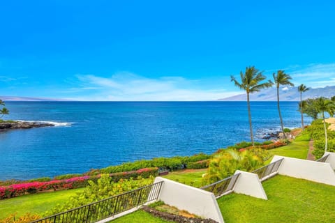 Oceanfront lawn and lava rock shoreline set the scene at Napili Point, with wide Pacific views that make every stroll feel unforgettable.