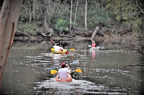 We provide kayaks, paddles and life jackets