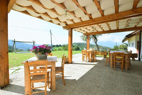 Autumn, Garden, Spring, Summer