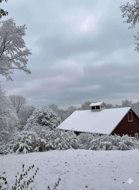 This lovely home away from home is centrally located minutes from downtown Burlington, Winooski, UVMMC, and i89 but nestled up against Schmasnka park affording lovely winter views and peaceful quiet. You'll love your time spent here. 