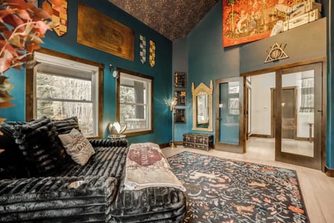 Wizarding World Themed Library