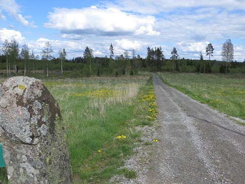 Private gravel road leading to ÄLGHAGEN. Country side living in the woods.  