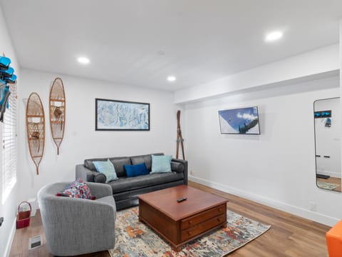 Living Area / Sofa Sleeper