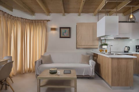 Living Room and Kitchen Designed for Comfort and Leisure