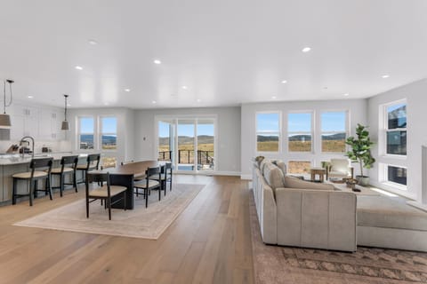 Main living and dining area, with chef's kitchen