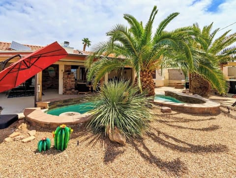 Backyard pool